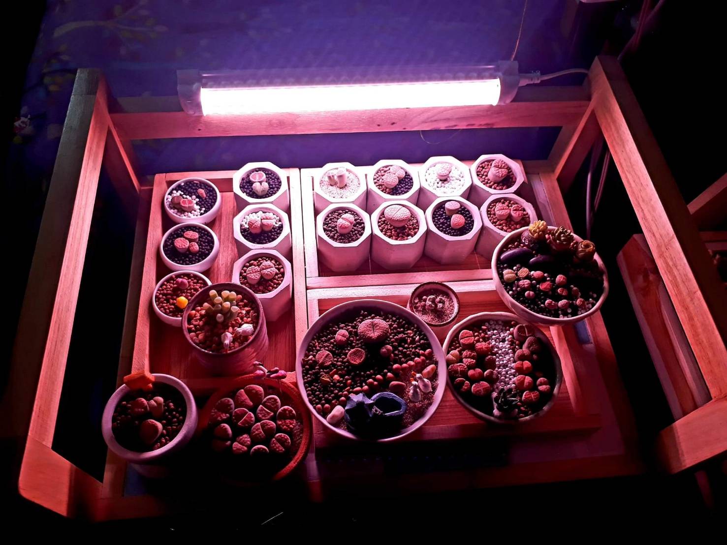 หลอดไฟปลูกต้นไม้ T20 35W ยาว 60CM LED Grow Light AC 220V หลอดใหญ่