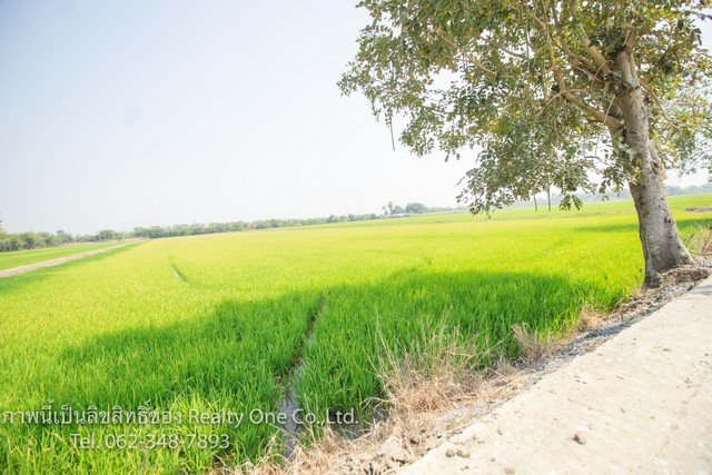 ขาย ที่ดิน ติดถนนคอนกรีต ใกล้ รพ.สามชุก สุพรรณบุรี