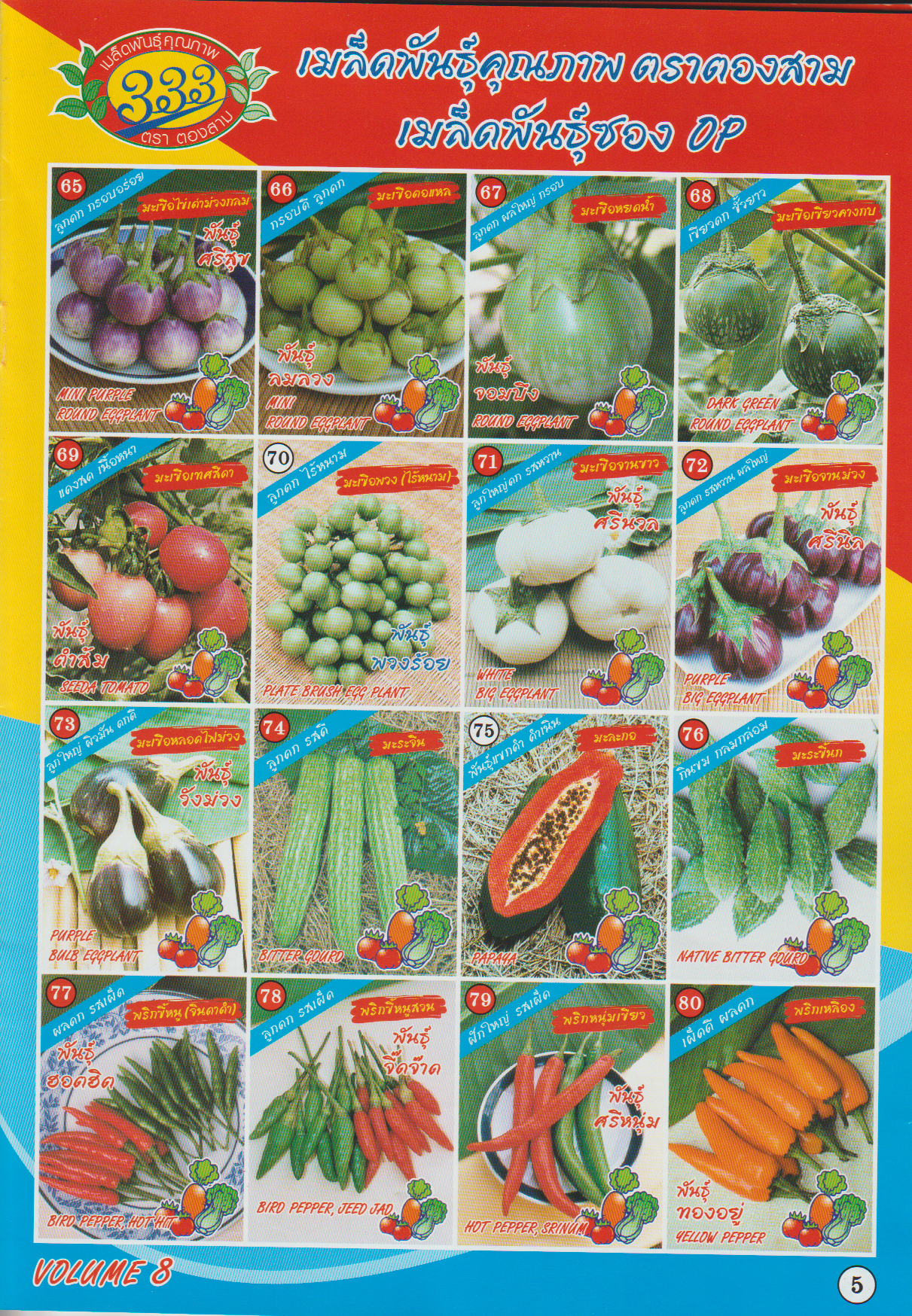 ผักซอง ตองสาม OP 65-80
