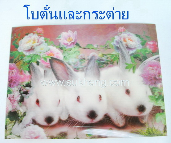 ภาพดอกโบตั๋น 3 มิติ