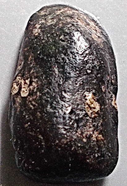 พระคง พิมพ์เล็ก หลวงพ่อพริ้ง วัดบางปะกอก