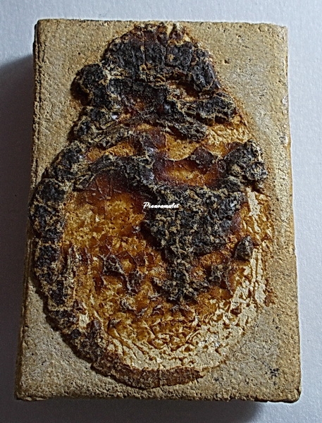 พระผงพิมพ์พระพุทธชินราชพิมพ์ใหญ่ วัดเกาะกลอย จ.ระยอง ปี 2514