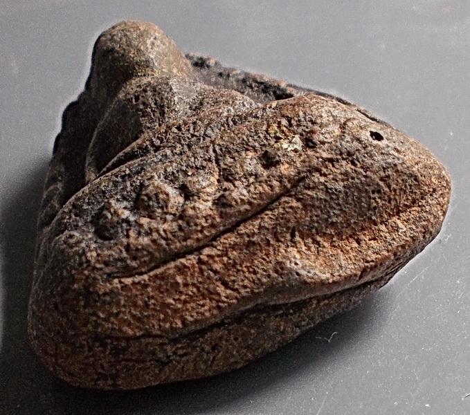 ลพ.โต สมาธิหลังยันต์อุ ลพ.จง วัดหน้าต่างนอก อยุธยา