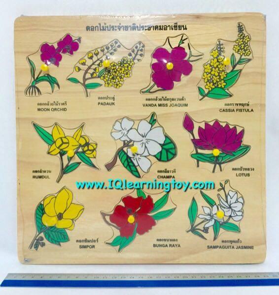 ภาพตัดต่อรูปดอกไม้ประจำชาติอาเซี่ยน เพื่อให้เด็กๆสามารถจดจำสัญลักษณ์ที่สำคั