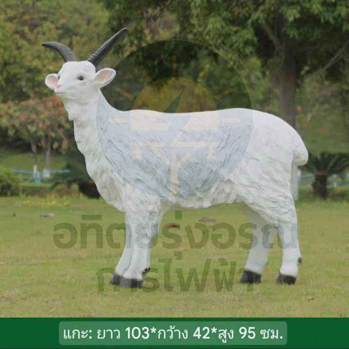 แพะขาว