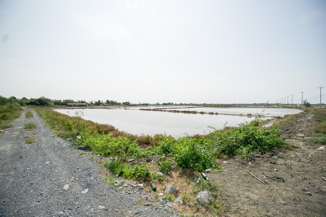 ขาย ที่ดิน นาเกลือ ติดถนนสาย 2020 ต.บ้านบ่อ อ.เมือง สมุทรสาคร