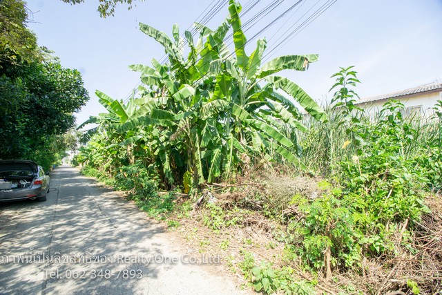 ขาย ที่ดิน ซ.เทพกุญชร 40/2 ตรงข้ามนวนคร ปทุมธานี ถูกที่สุด