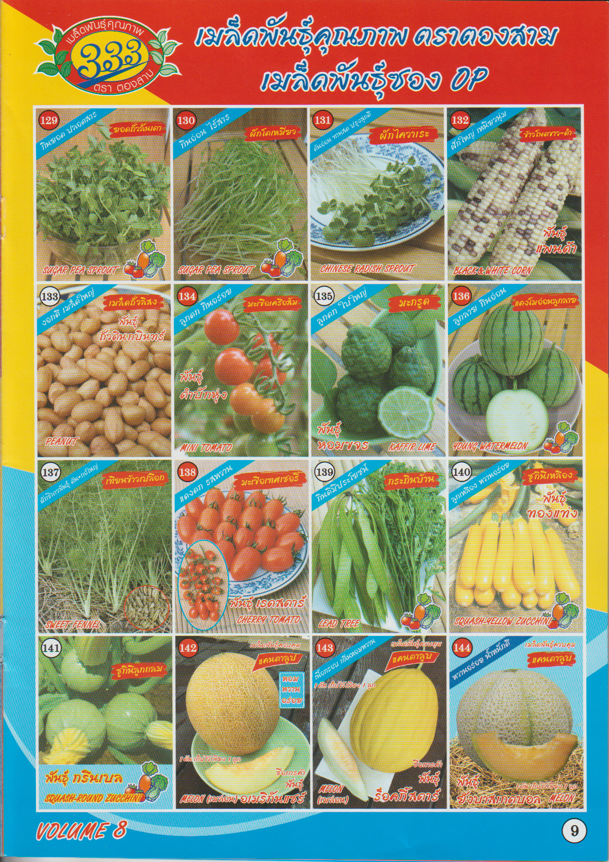 ผักซอง ตองสาม OP 129-144