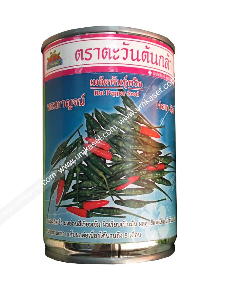 พริกขี้หนูสวน หอมกาญจน์ 20 กรัม