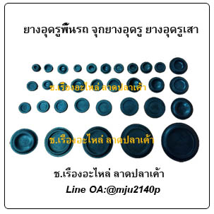 ยางอุดรูพื้น จุกยางอุดรูพื้น ลูกยางอุดปิดร่อง ยางปิดรูเสา