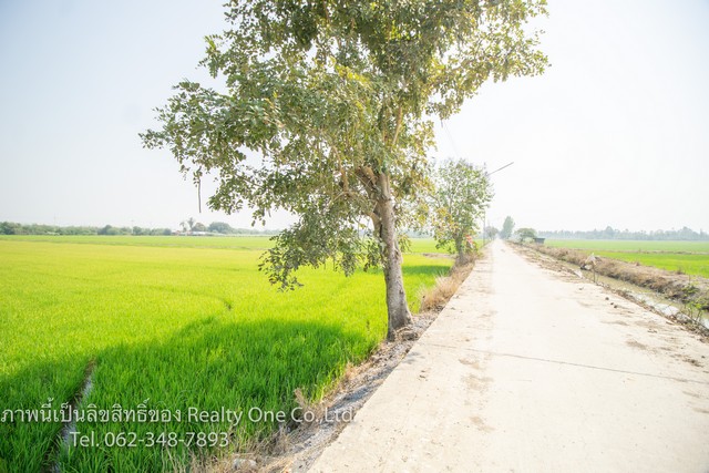 ขาย ที่ดิน ติดถนนคอนกรีต ใกล้ รพ.สามชุก สุพรรณบุรี