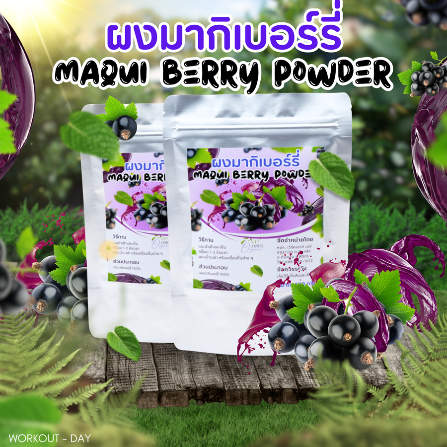 ผงมากิเบอร์รี่ Maqui Berry Powder เกรดสารสกัด