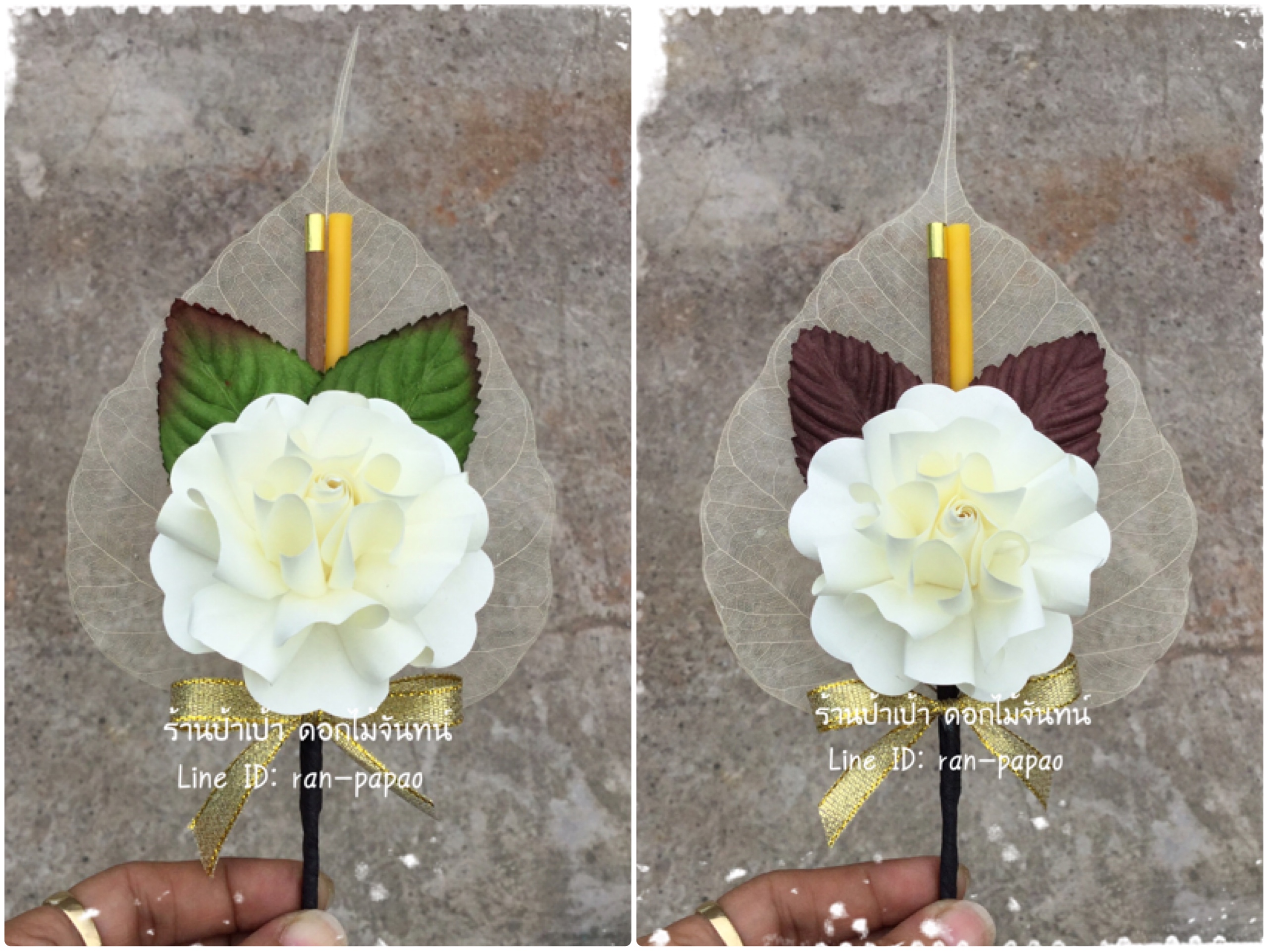 ดอกไม้จันทน์ พุดซ้อนธูปหัวทองAA มี 6 สี
