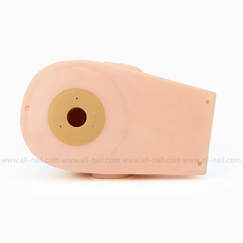 หัวหุ่น หัวหุ่นยาง หัวหุ่นฝึกต่อขนตา สักคิ้ว สักปาก