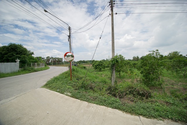 ขาย ที่ดิน ถูกสุด ๆ ต.สำพะเนียง บ้านแพรก อยุธยา สวนมะม่วง แปลงมุมติดถนนสวยมาก