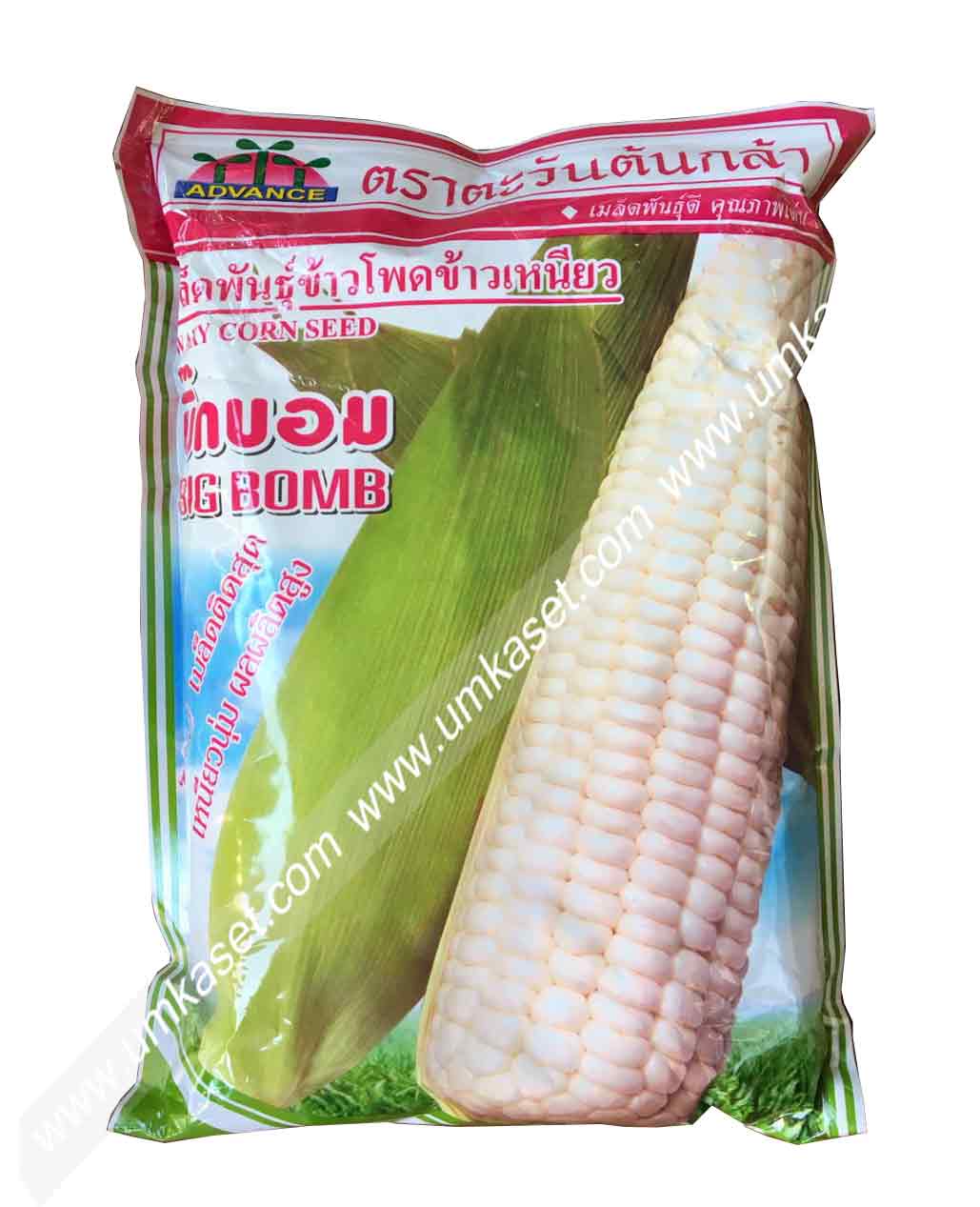 ข้าวโพดข้าวเหนียว บิ๊กบอม ตะวันต้นกล้า 1 กิโล