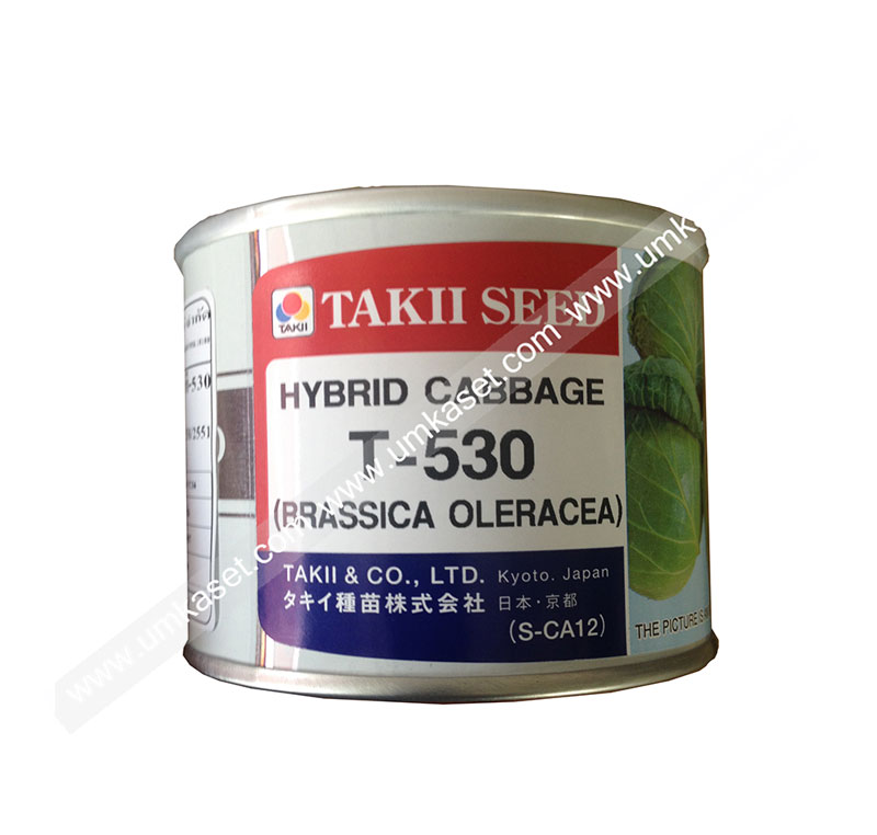กะหล่ำปลี T-530 เจียไต๋ 50 กรัม