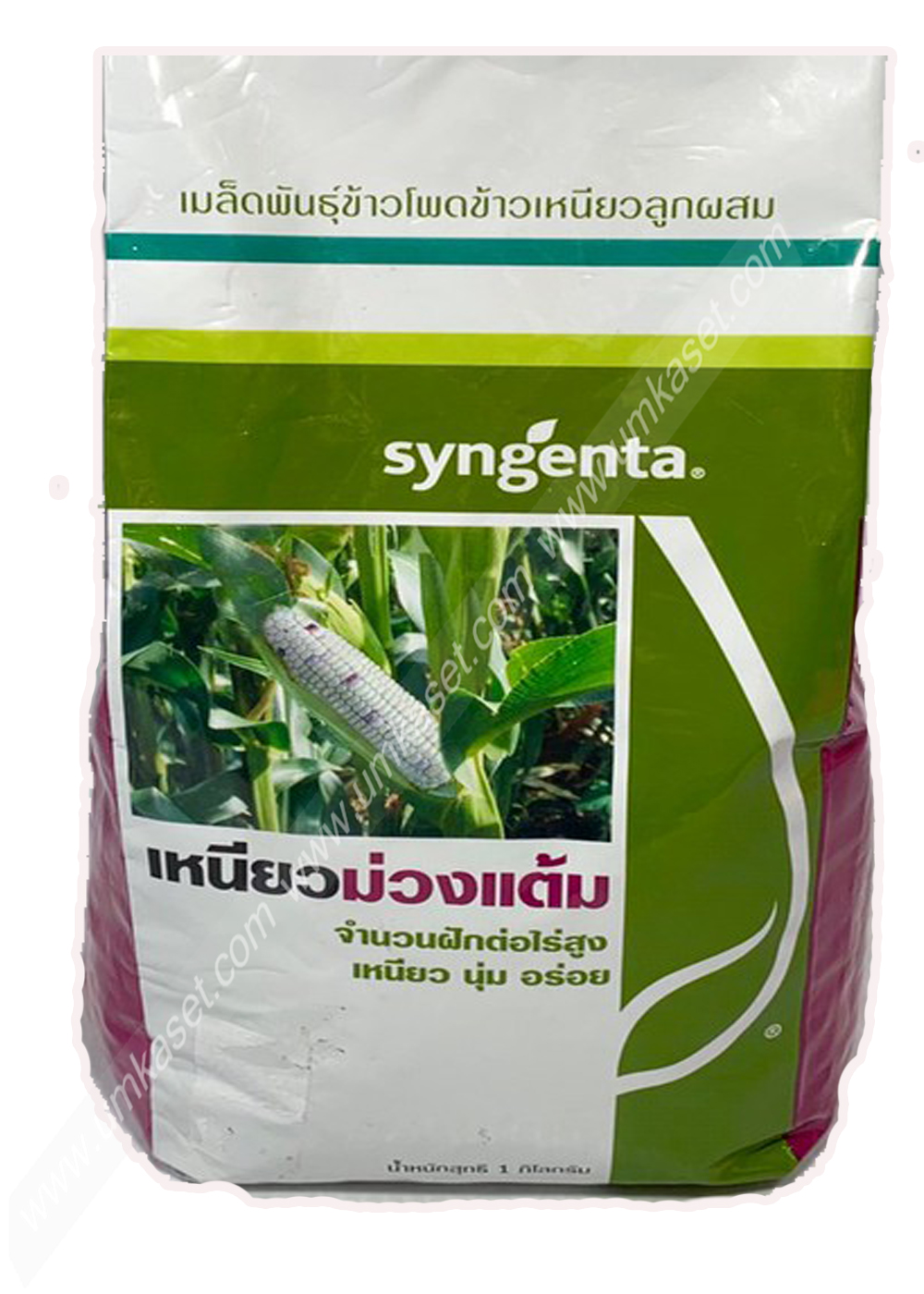 ข้าวโพดข้าวเหนียว เหนียวม่วงแต้ม ซินเจนทา 1 กิโล