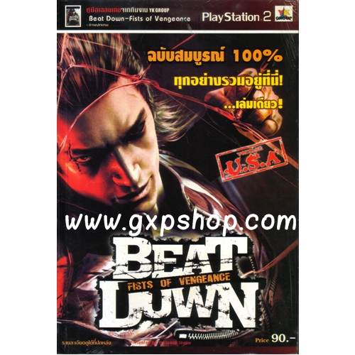Book: Beat Down Fists of Vengeance