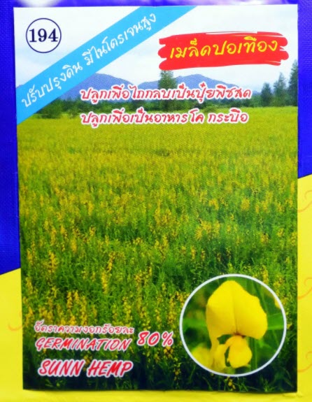 เมล็ดพันธุ์ ปอเทือง (ปลาทอง) 1 กิโลกรัม