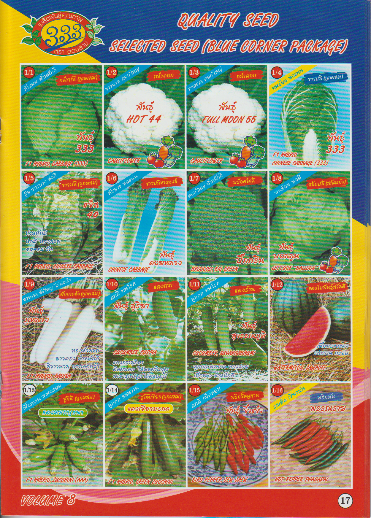 ผักซอง ตองสามF1 1/1 - 1/16