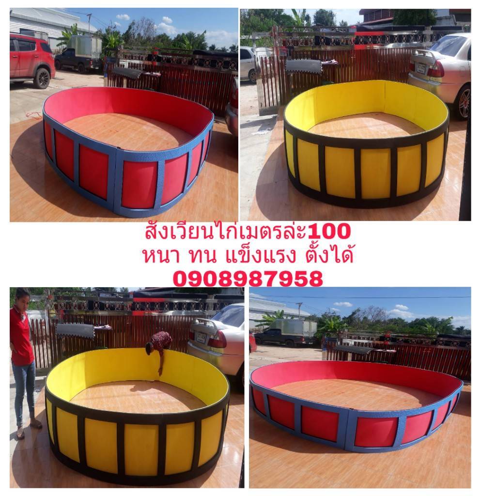 สังเวียนไก่ราคาถูกเมตรละ 100