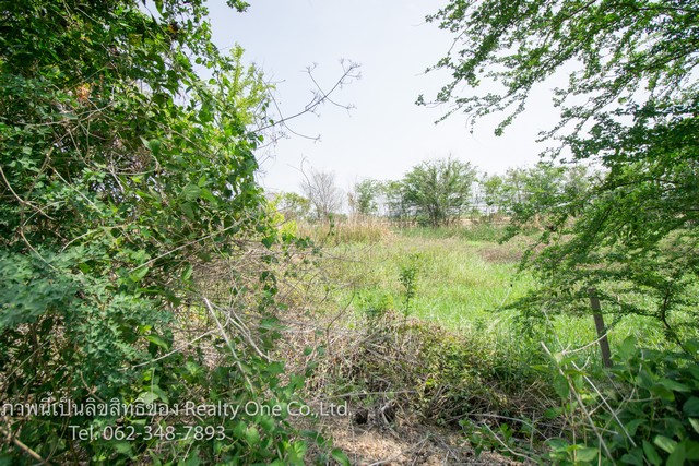 ขาย ที่ดิน ถ.บางบัวทอง-สุพรรณบุรี (340) ราคาถูก เท่าประเมินกรมที่ดิน