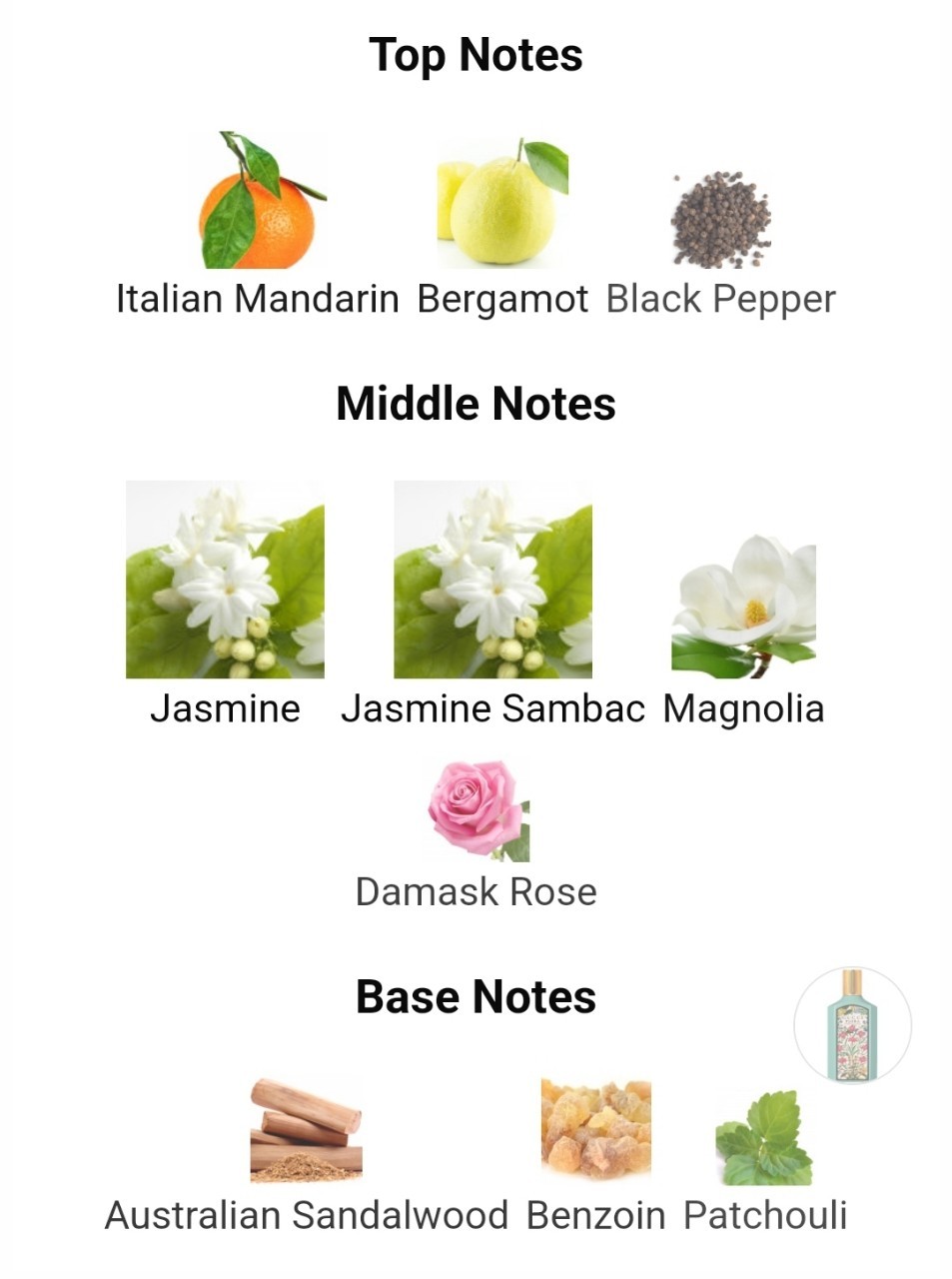 น้ำหอมแท้แบ่งขาย Gucci Flora Gorgeous Jasmine Eau de Parfum 💕Travel Size แบบทดลอง