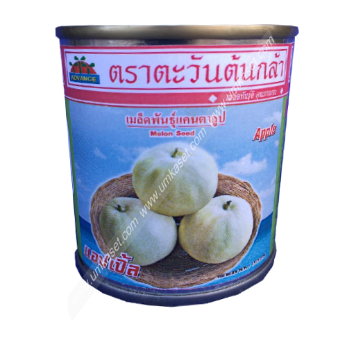 แคนตาลูป แอปเปิ้ล APPLE 20 กรัม
