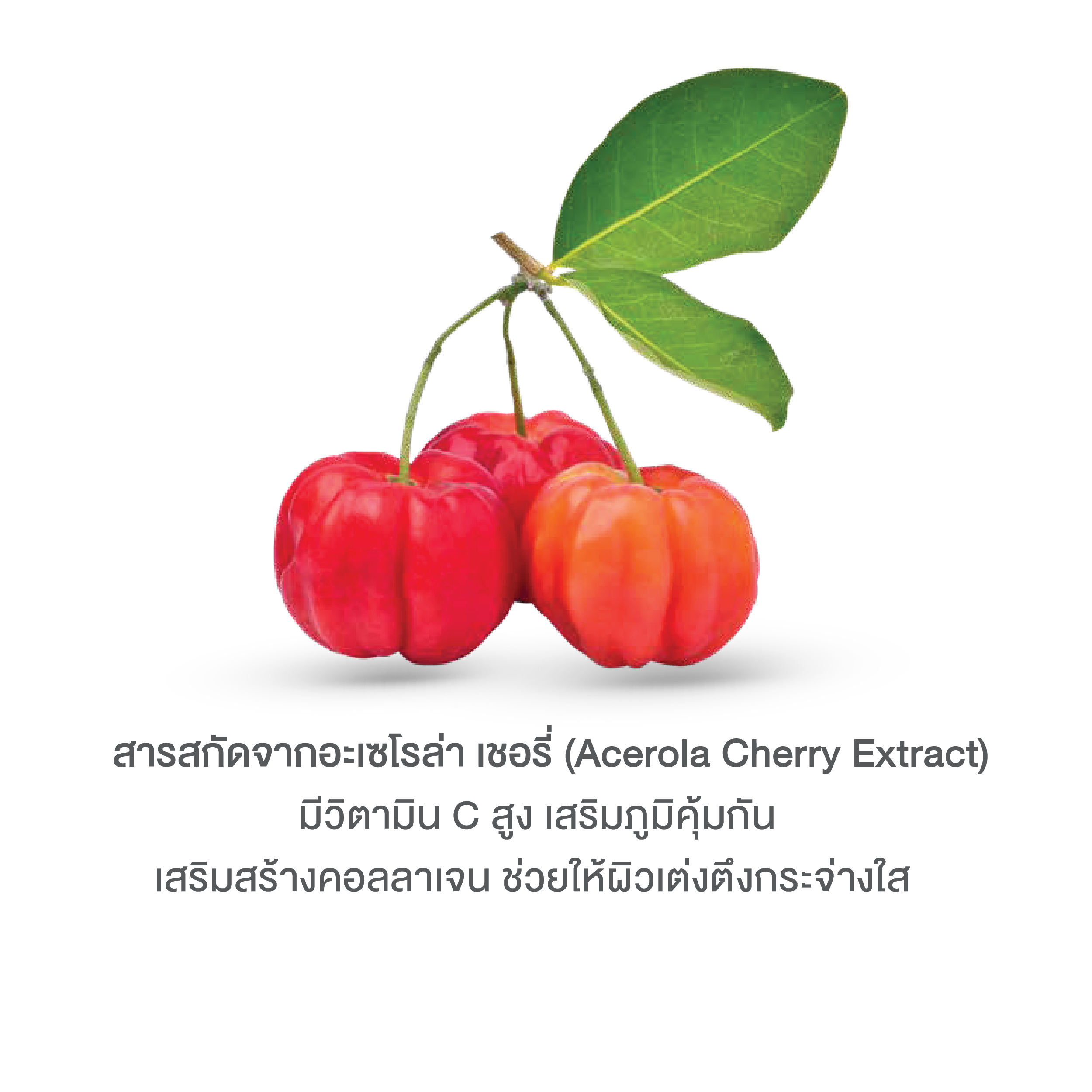 บลูม คอลลาเจน พลัส BOOM COLLAGEN PLUS