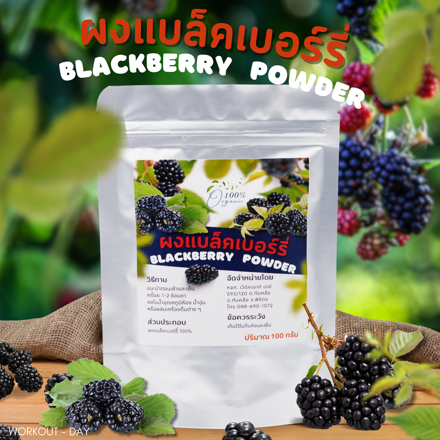 ผงแบล็กเบอร์รี่ Blackberry Powder