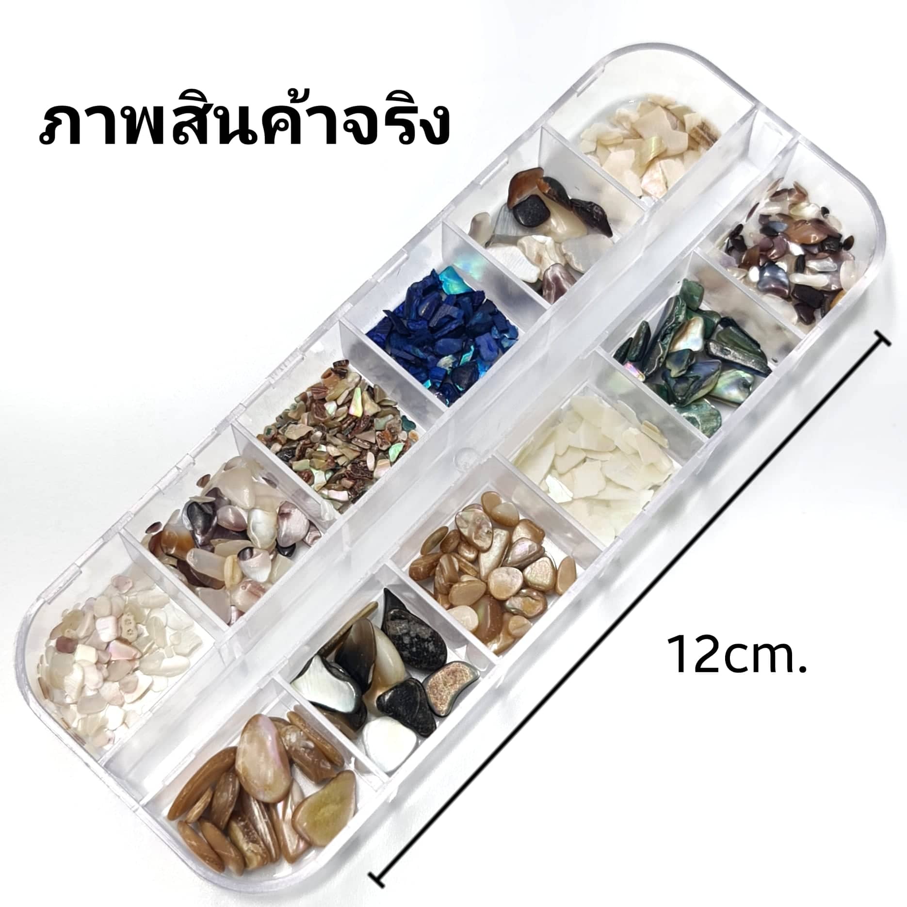 เปลือกหอยติดเล็บ เปลือกหอยตกแต่งเล็บ เกรดพรีเมี่ยม 1เซต/12แบบ