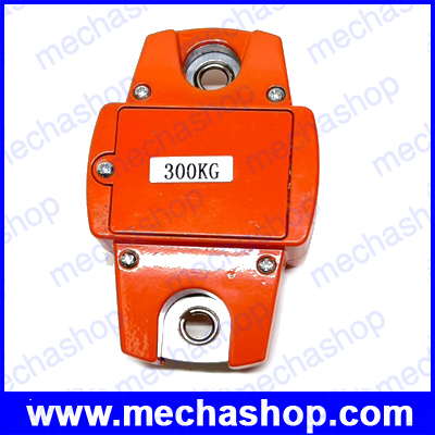 เครื่องชั่งดิจิตอล เครื่องชั่งแบบแขวน เครื่องชั่งน้ำหนัก Digital Crane Scales 300kg ยี่ห้อ Anex รุ่น 300kg ความละเอียด 100g