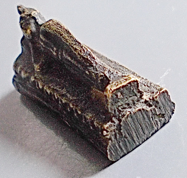 พระปางไสยาสน์ หล่อโบราณ ขนาดห้อยบูชา