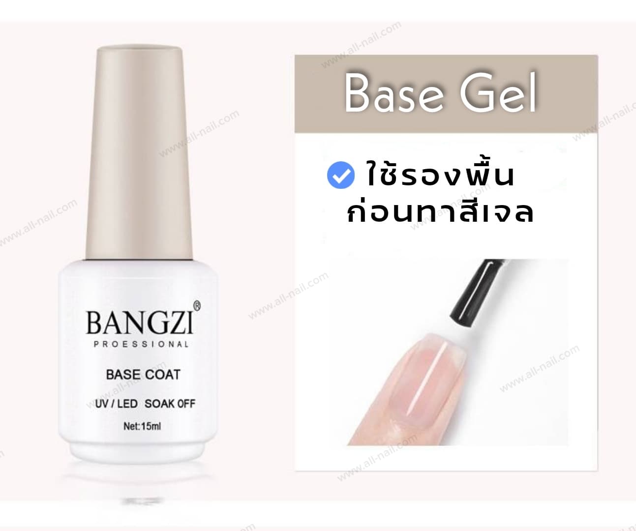ท็อปเจล ท็อปแข็ง เบสเจล แคร์เจล 🔥 BANGZI ของแท้ 🔥
