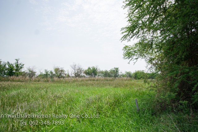 ขาย ที่ดิน ถ.บางบัวทอง-สุพรรณบุรี (340) ราคาถูก เท่าประเมินกรมที่ดิน