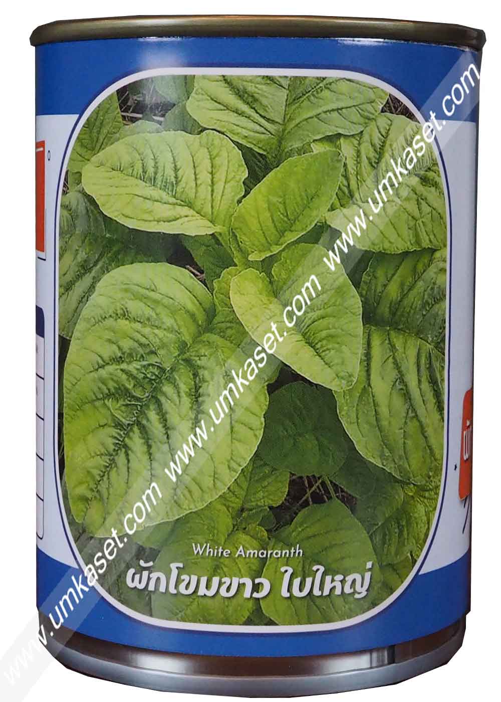 ผักโขมขาวใบใหญ่ ตราลูกโลก