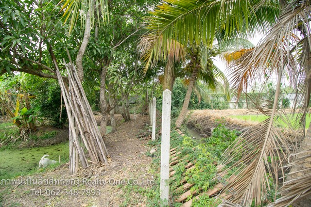 ให้เช่า ที่ดิน พร้อม บ้าน ร้านค้า ทำเลสวย สามชุก สุพรรณบุรี