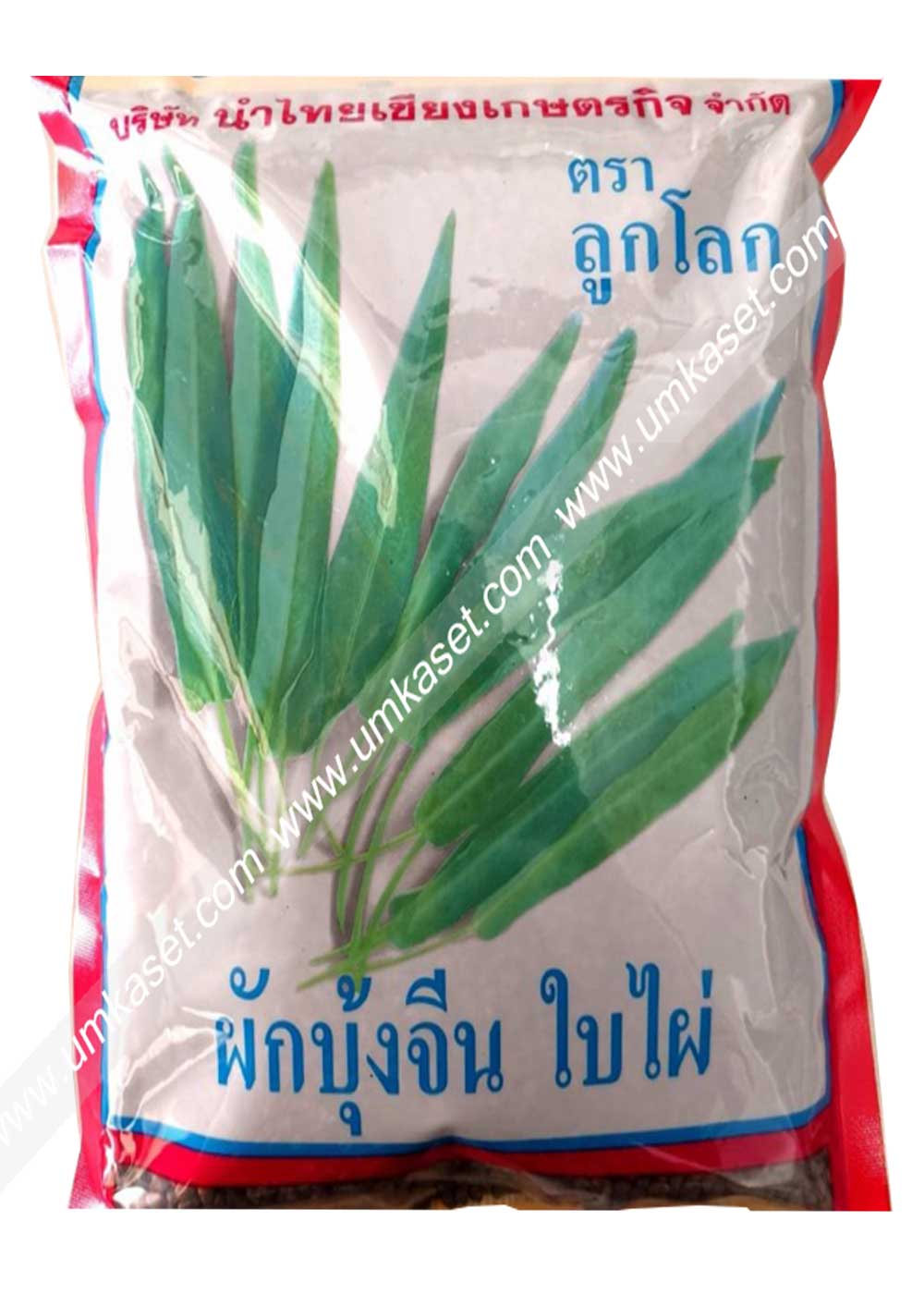 ผักบุ้งจีนใบไผ่ ตราลูกโลก 1 กิโล