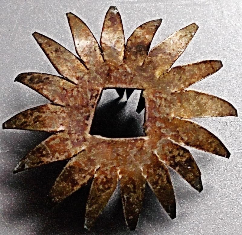 ดอกพิกุลเงินหลวงพ่อโอภาสี อาศรมบางมด