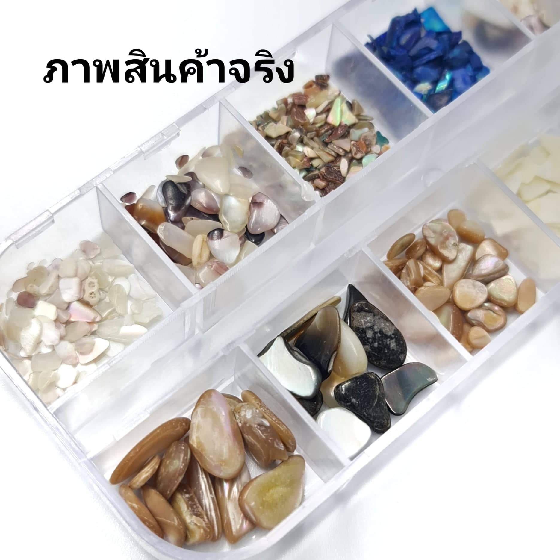 เปลือกหอยติดเล็บ เปลือกหอยตกแต่งเล็บ เกรดพรีเมี่ยม 1เซต/12แบบ