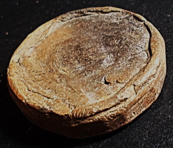 จันทร์ลอย หลัง ฆ เนื้อดิน ยุคต้น ลพ.ครื้น วัดสังโฆ สุพรรณบุรี