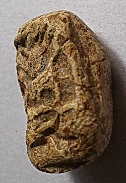 พระผงขุดสระหลวงปู่เผือก วัดกิ่งแก้ว จ.สมุทรปราการ ปี 2460 พิมพ์ขุดสระเล็ก