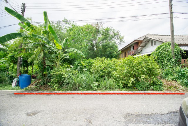 ขายที่ดินถมแล้ว ซอยเวิร์คพอยท์ บางพูด เมืองปทุมธานี