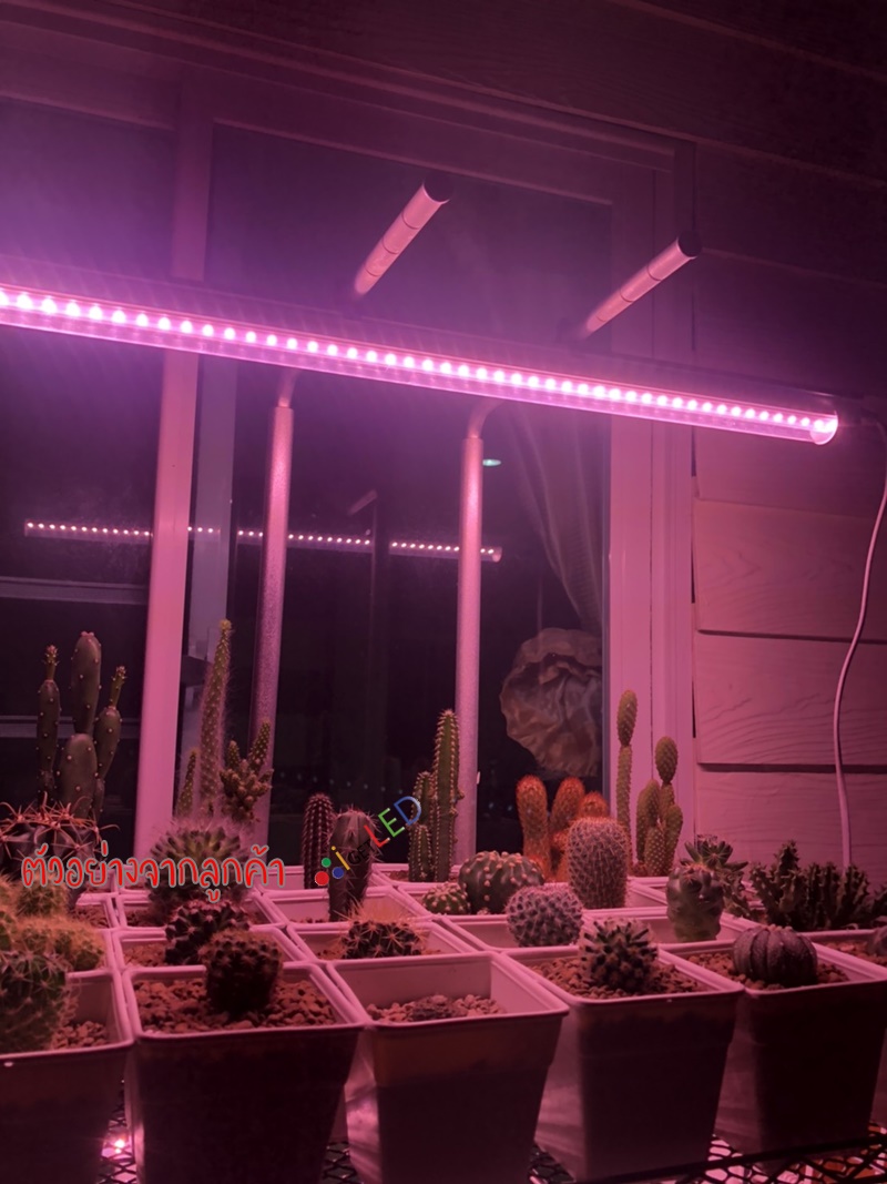 หลอดไฟปลูกต้นไม้ LED T8 35W ยาว 90CM 144 LED Grow Light AC 220V