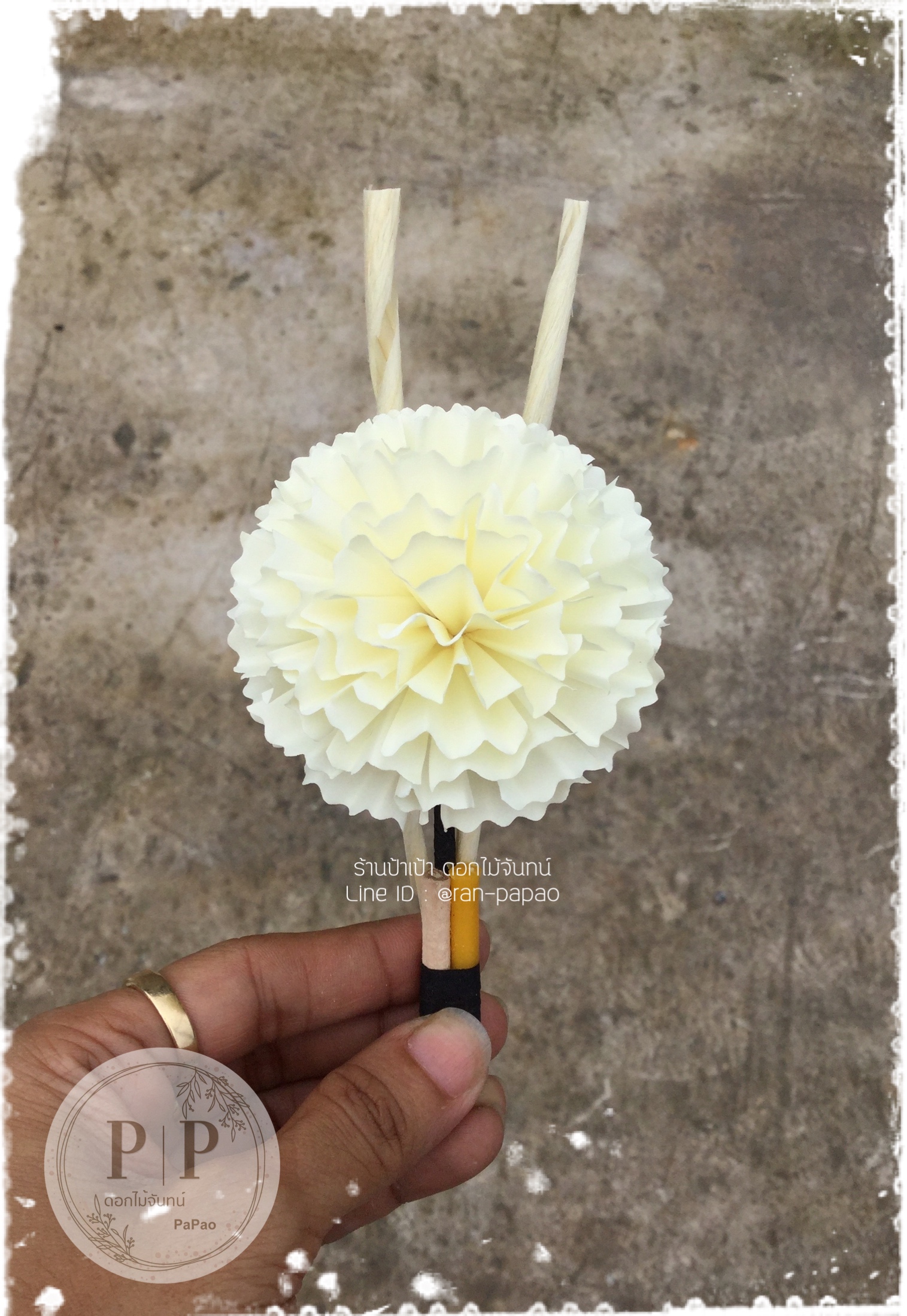 ดอกไม้จันทน์คาร์เนชั่นC มี 6 สี
