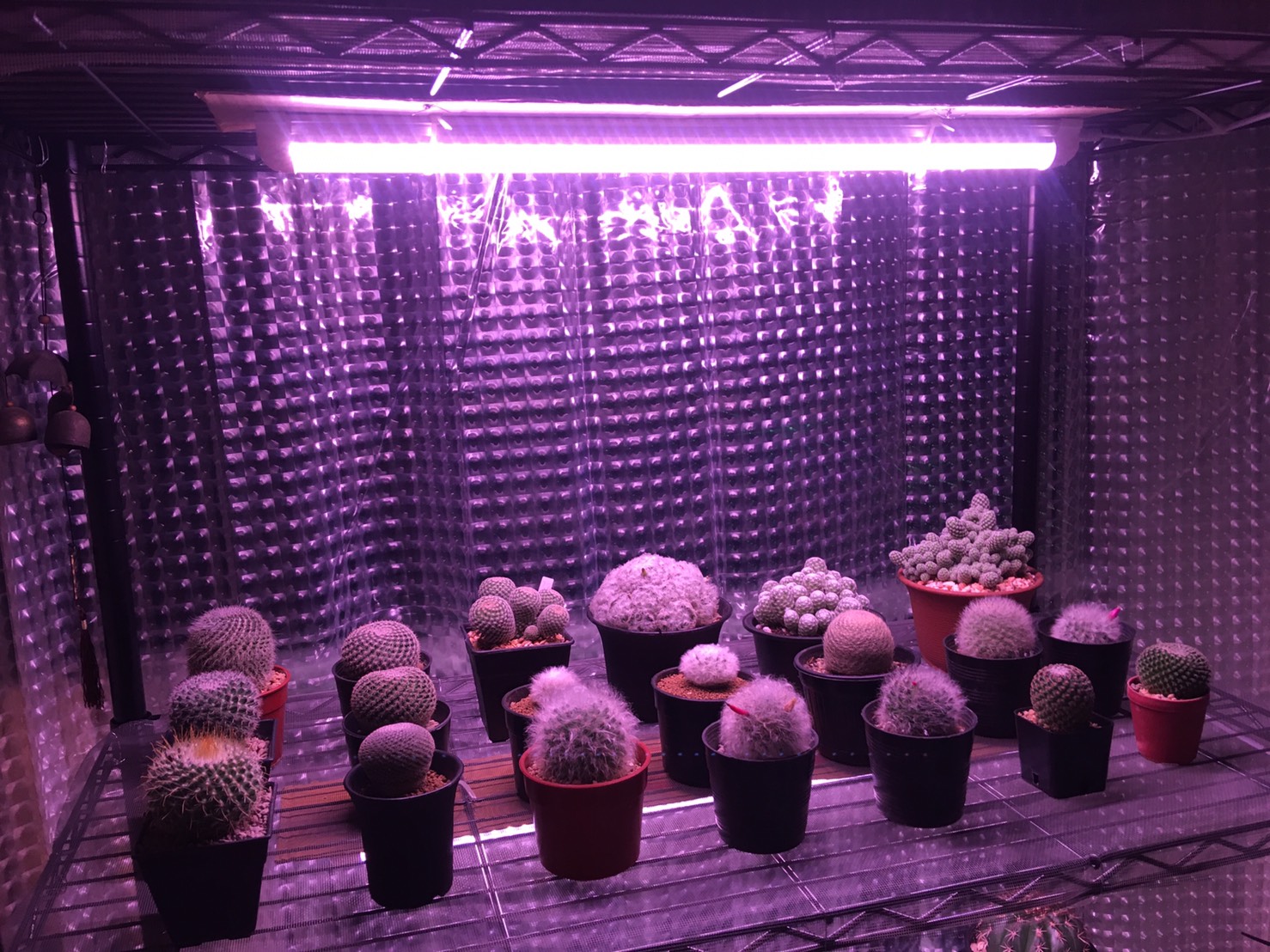 หลอดไฟปลูกต้นไม้ T20 50W ยาว 90CM LED Grow Light AC 220V หลอดใหญ่