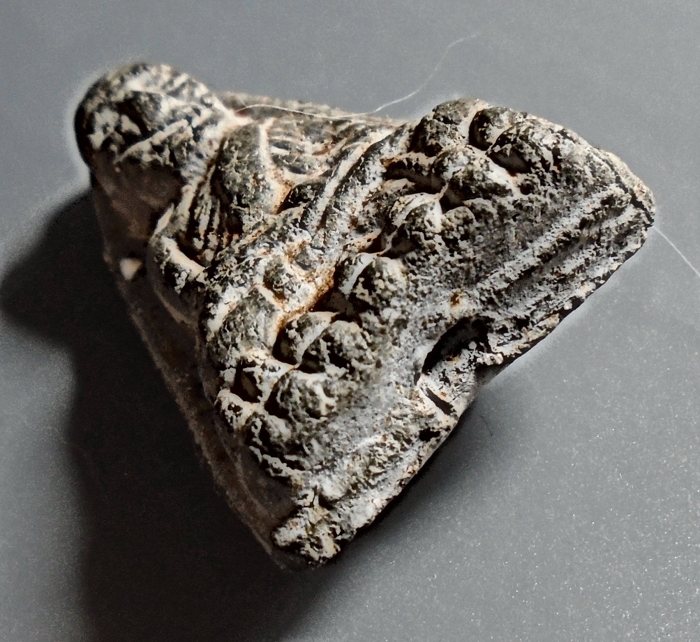 ลป.ทวด เนื้อผงเทา วัดประสาท ปี 2506