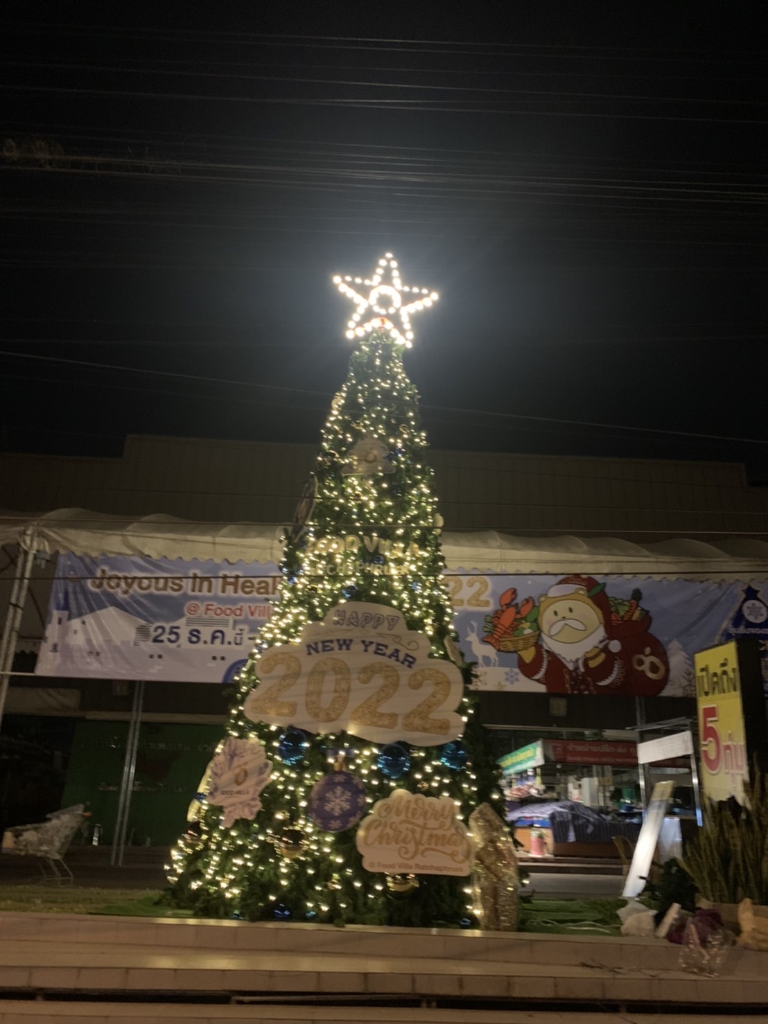 รูปภาพ ประกอบ ความแตกต่างระหว่าง ต้นคริสตืมาสปลอม ทรงสน และต้นคริสตืมาส ขึ้นรูป ทรงกรวย