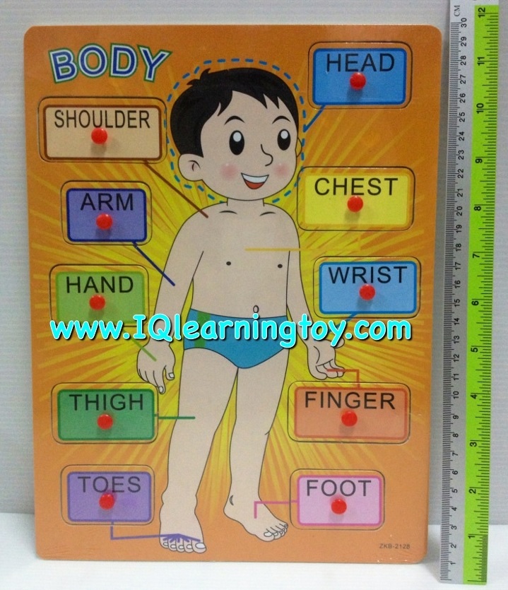 ของเล่นไม้-จิ๊กซอว์ไม้สอนคำศัพท์ภาษาอังกฤษ เรื่องอวัยวะต่างๆบนร่างกาย สอนให้เด็กๆได้รู้จักคำศัพท์ภาษาอังกฤษเรียกส่วนต่างๆบนร่างกายของเรา จัดส่งฟรี